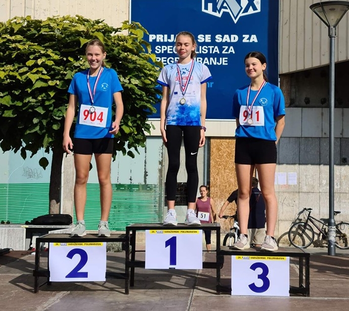 ana maria gudic uvodna slika